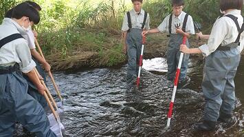 水生生物を採取します！